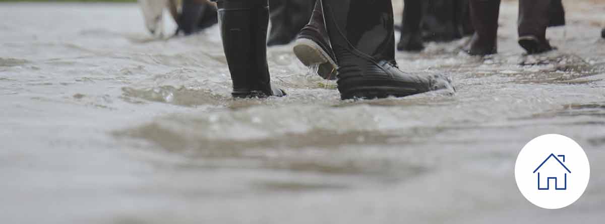 How do the new flood insurance prices affect me? | UNIVISTA INSURANCE