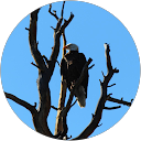 Jose Diaz profile picture