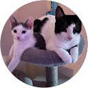 ONA PNG profile picture