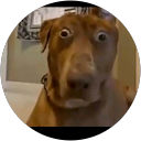 Omar Oliva profile picture