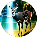 Rosalia Pacheco Oliveros profile picture