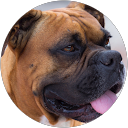 Manuel Gonzalez profile picture