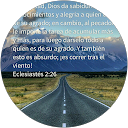 Luis profile picture