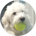 Victor Franco profile picture