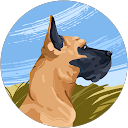 Mario Rodriguez profile picture