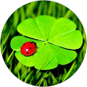 S Castellana profile picture